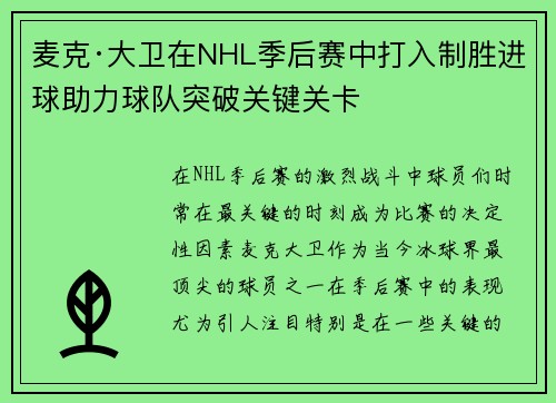 麦克·大卫在NHL季后赛中打入制胜进球助力球队突破关键关卡